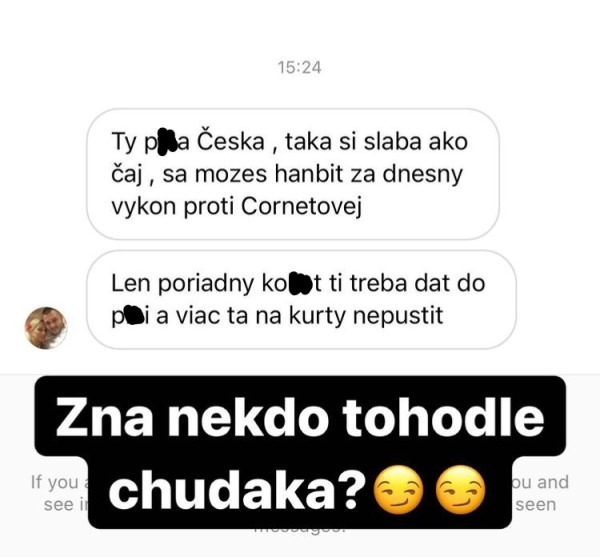 Urážky, Instagram Kristýna Plíšková