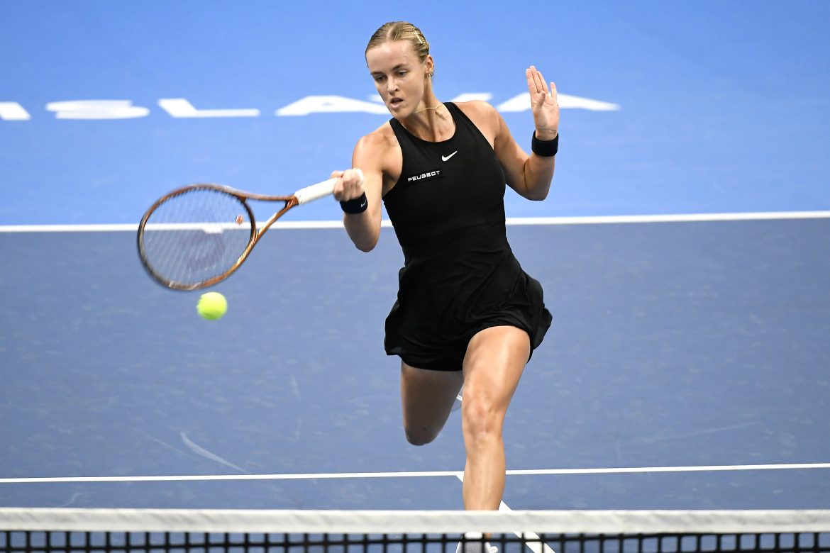 Anna Karolína Schmiedlová, Slovensko, Pohár Billie Jean Kingovej