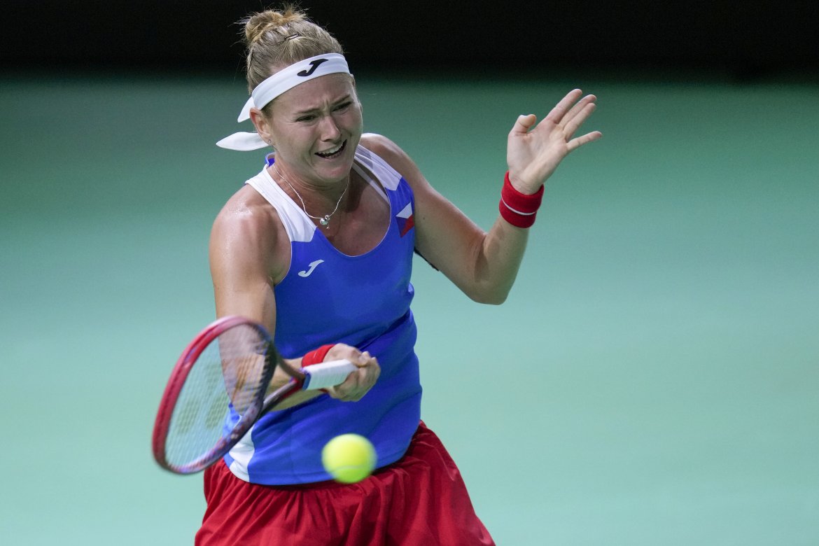 Marie Bouzková, Česko, Pohár Billie Jean Kingovej, Málaga