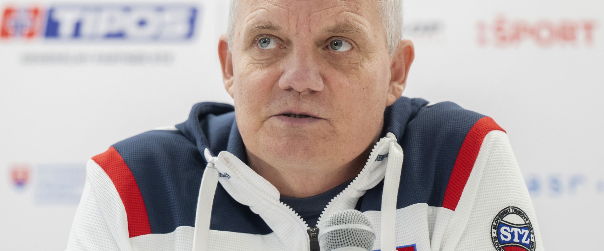 Tibor Tóth, Slovensko, Davis Cup, Davisov pohár