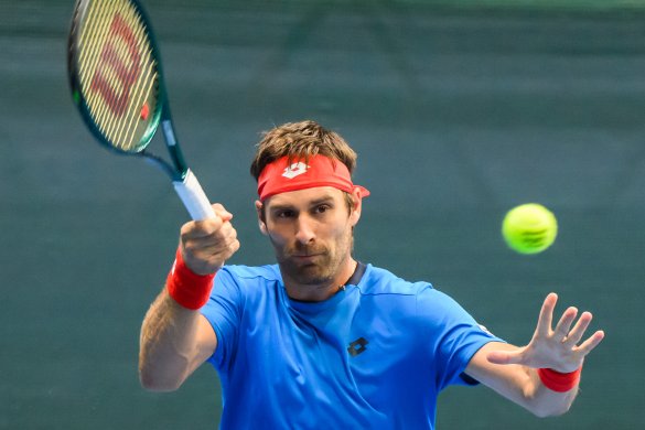 Norbert Gombos, Slovensko, Davis Cup, Davisov pohár