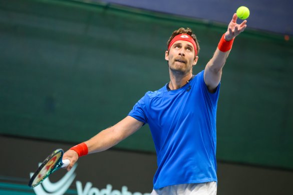 Norbert Gombos, Slovensko, Davis Cup, Davisov pohár