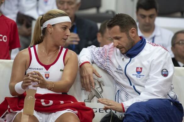 Dominika Cibulková, Matej Lipták, Fed Cup