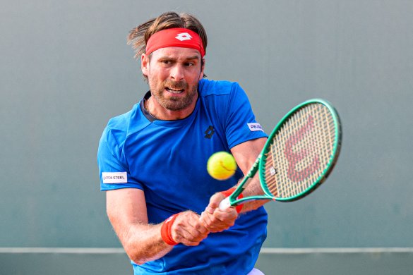 Norbert Gombos, Slovensko, Davis Cup, Davisov pohár