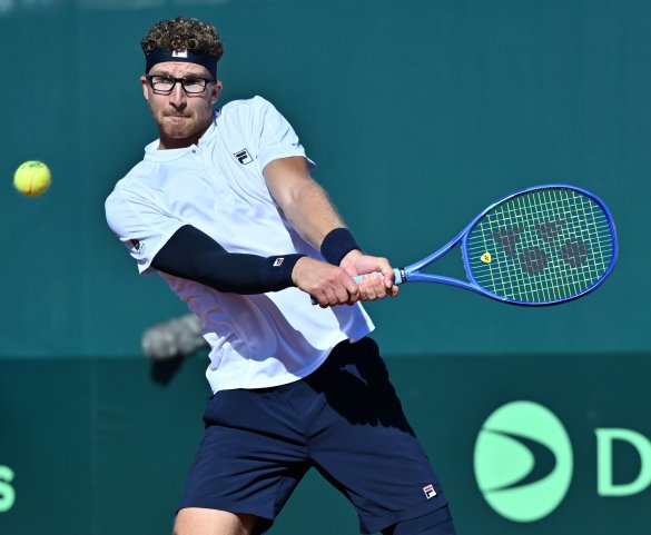 Miloš Karol, Davis Cup, Davisov pohár, Slovensko